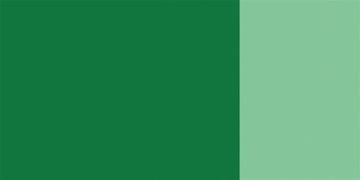 Schmincke 561 Fir Green HKS Designers' Gouache Boya 20 ml