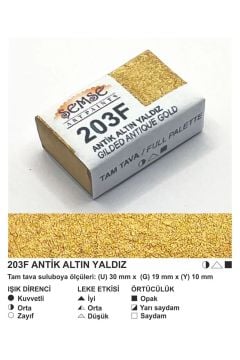 ŞemseArt No: 203F Antik Altın Yaldız Tam Tava Sulu Boya