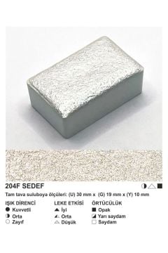 ŞemseArt No: 204F Sedef Yaldız Tam Tava Sulu Boya