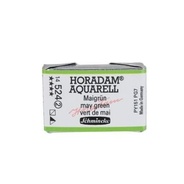 Schmincke Horadam Aquarell Artistik Sulu Boya Tam Tablet Seri 2 524 may green