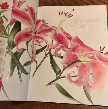 A-Z Of Flower Portraits /A'dan Z'ye Çiçek Portreleri