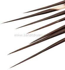 Tiryakiart Kirpi Dikeni