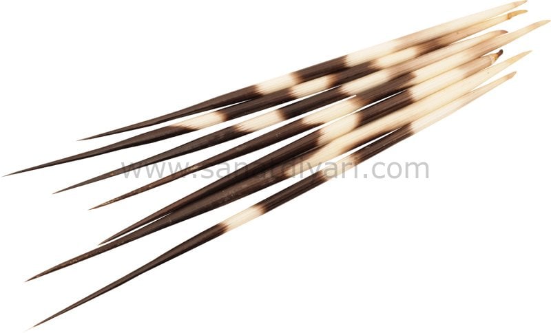 Tiryakiart Kirpi Dikeni