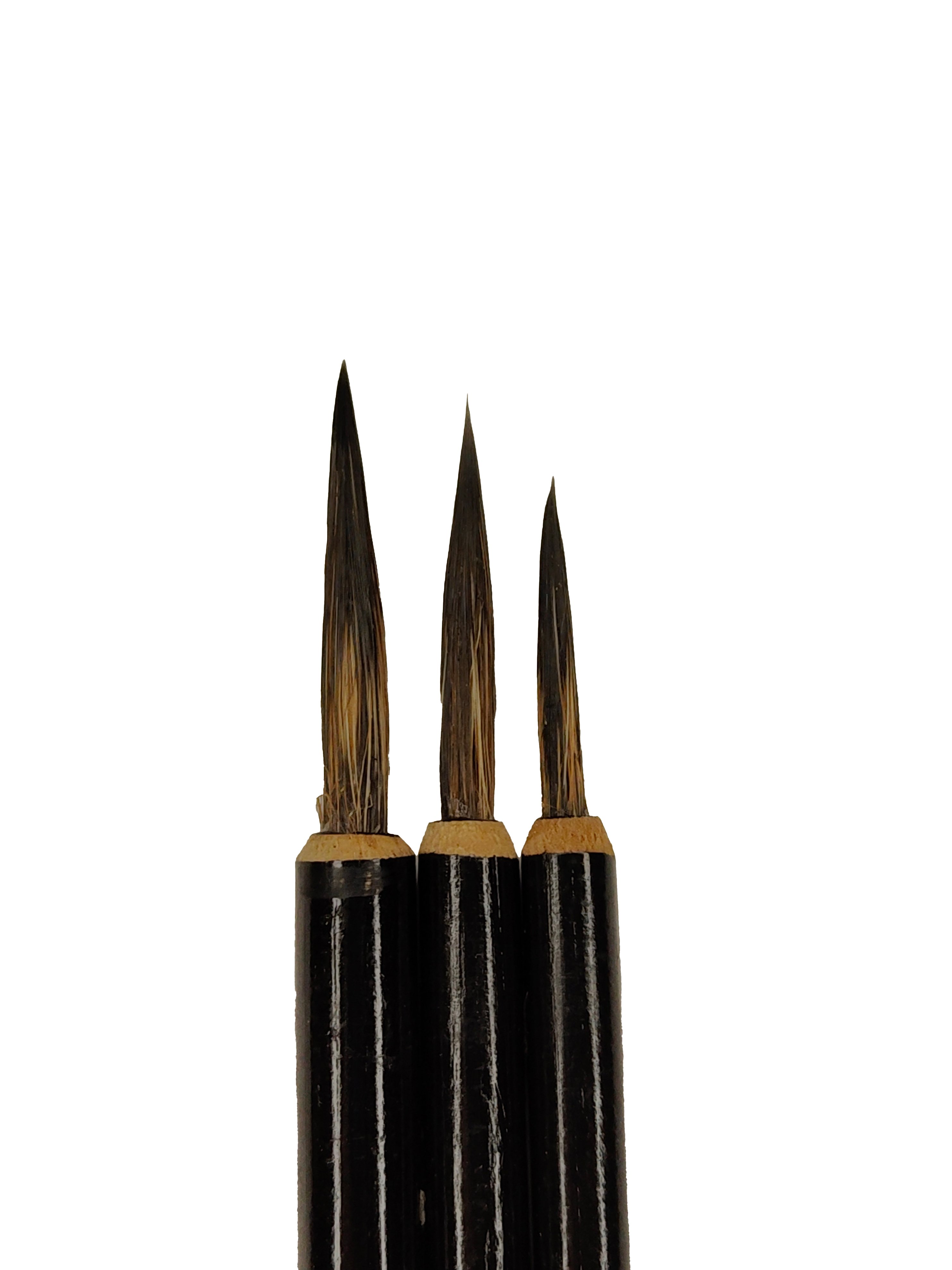 Eu - Sanat Diyarı Çin Yazı Fırça Seti 3'Lü ( Kıl Uzunluğu: 20-25-30mm )