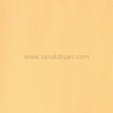 Winsor & Newton 422 naples yellow Designers Guaj Boya 14 ml