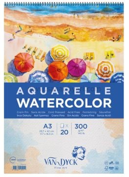 ClaireFontaine van dyck 300 gr - 20 Yaprak - a3 üst spiral