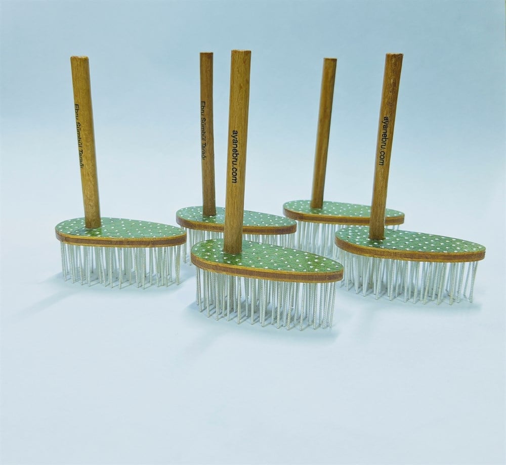 Ayan Ebru Sümbül Bizi