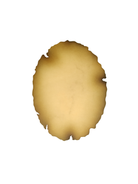 Kağıt Atölyesi 300 Gr A4 Açık Kahve Oval