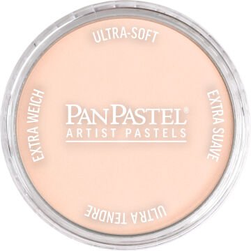 PanPastel PP 380.8 RED IRON OXIDE TINT