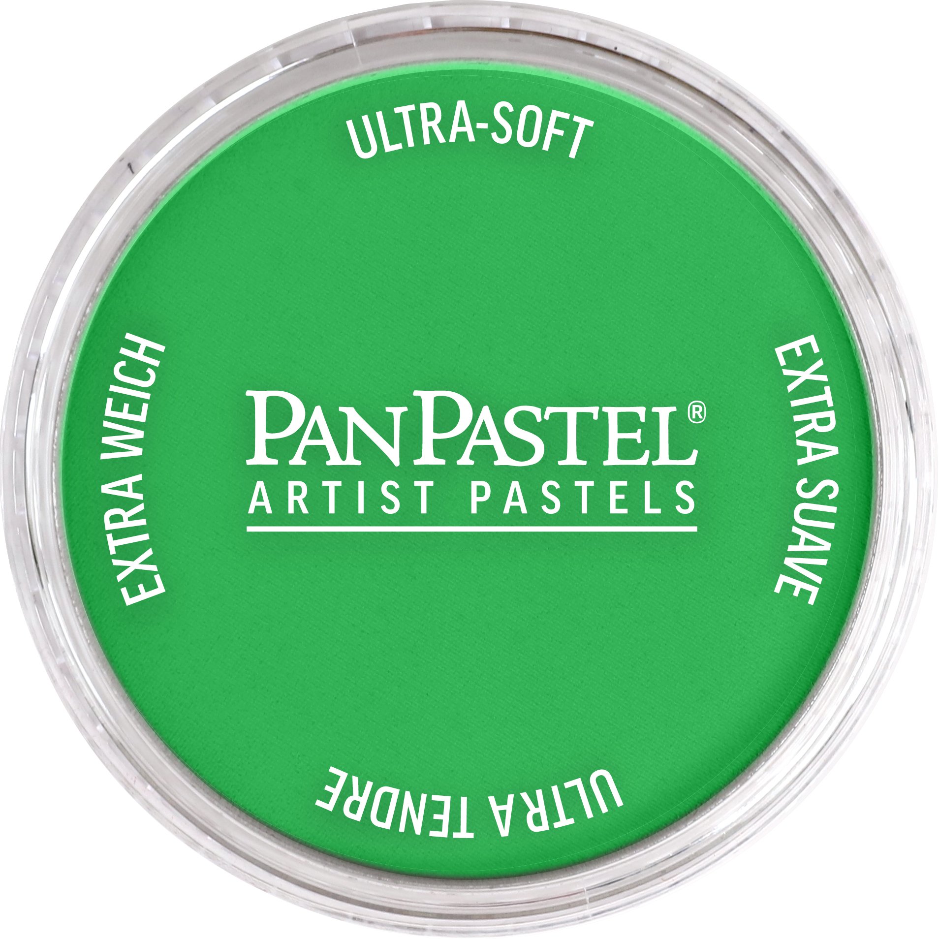 PanPastel PP 640.5 PERMANENT GREEN