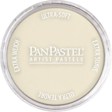 PanPastel PP 780.8 RAW UMBER TINT