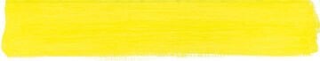 Schmincke Mussini Artist Yağlı Boya 35 ml 220 Vanadium Yellow Light Seri 6