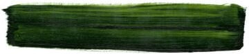 Schmincke Mussini Artist Yağlı Boya 35 ml 526 Sap Green Seri 2
