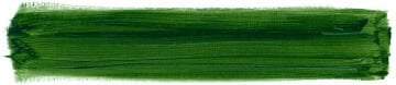 Schmincke Mussini Artist Yağlı Boya 35 ml 640 Verona Green Earth Seri 1