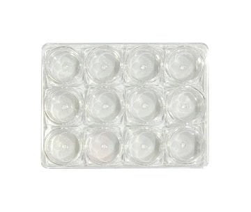 Vera Sanat 12'Li 5 cc Kutulu Plastik Hokka Seti 9x12 cm