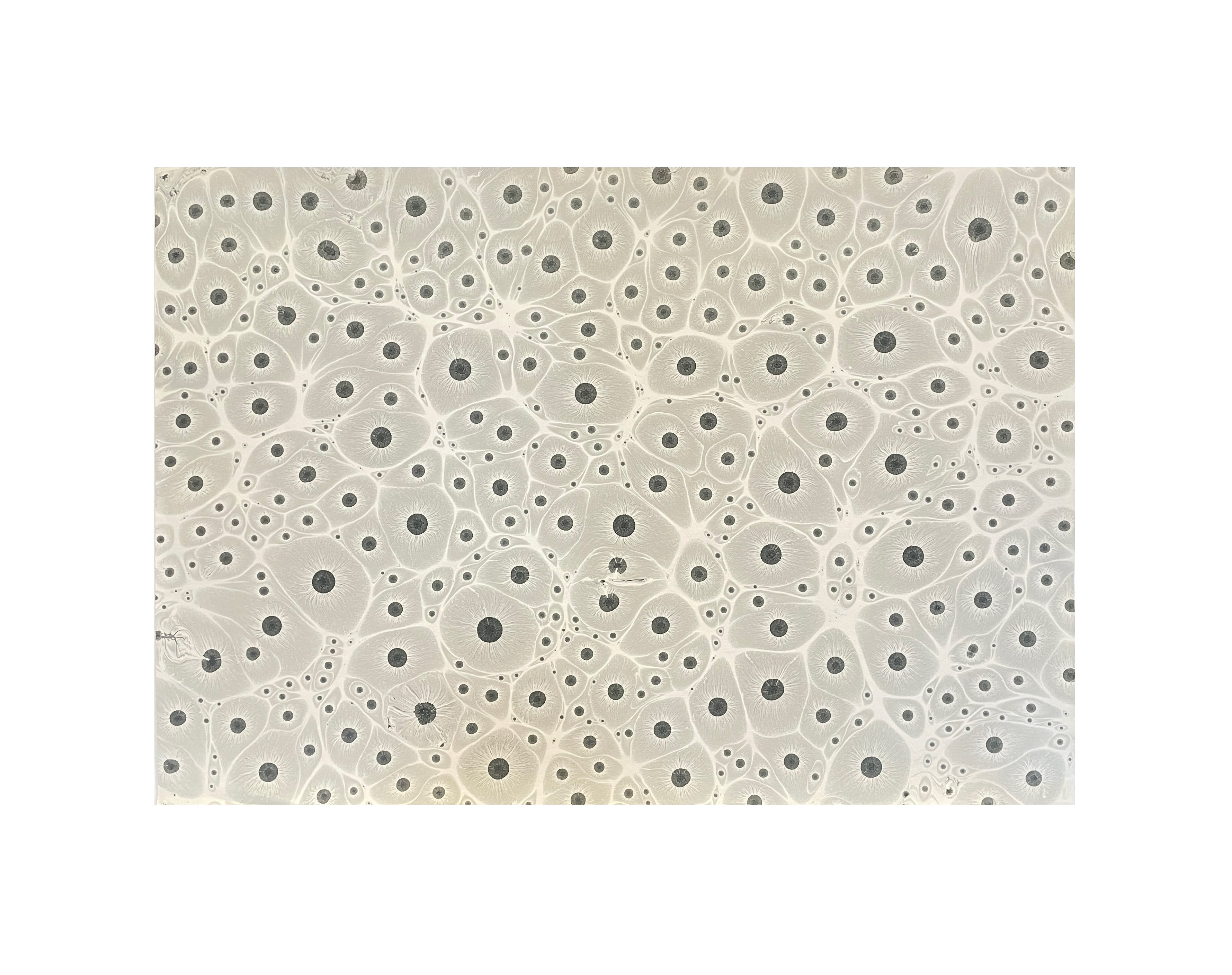 Nedim Sönmez Orijinal El Yapımı Ebru Kağıdı -1 Kaplan Gözü Gri - 47,5 x 67,5 cm