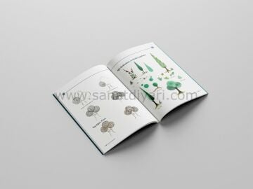 Noktadan Renge Minyatür - Dilek Yerlikaya