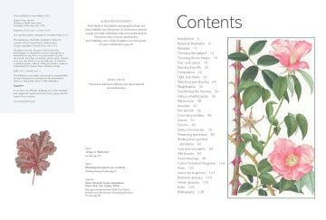 The Kew Book of Botanical İllustration