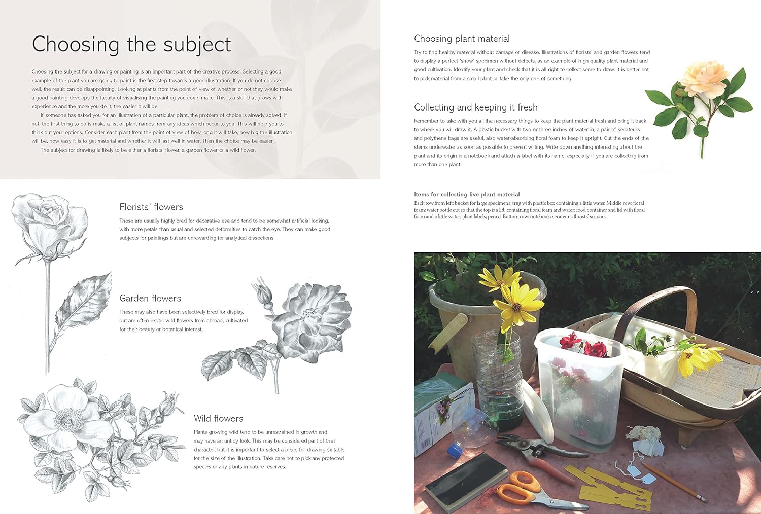 Botanical Key Book The Kew Book of Botanical İllustration