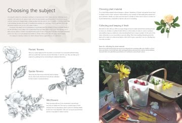 The Kew Book of Botanical İllustration