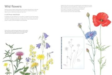 The Kew Book of Botanical İllustration