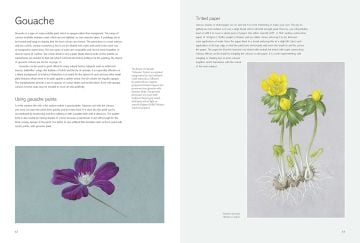 The Kew Book of Botanical İllustration