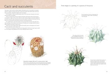 The Kew Book of Botanical İllustration