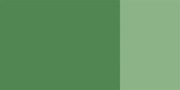 Schmincke 558 Chromium Oxide Green HKS Designers' Gouache Boya 20 ml